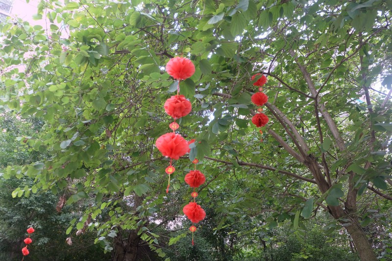 图片关键词