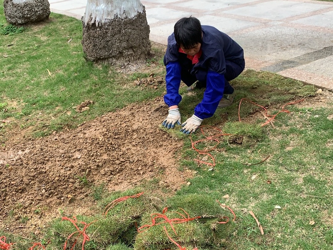 图片关键词