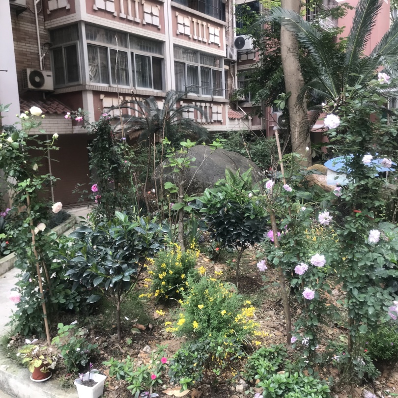 图片关键词