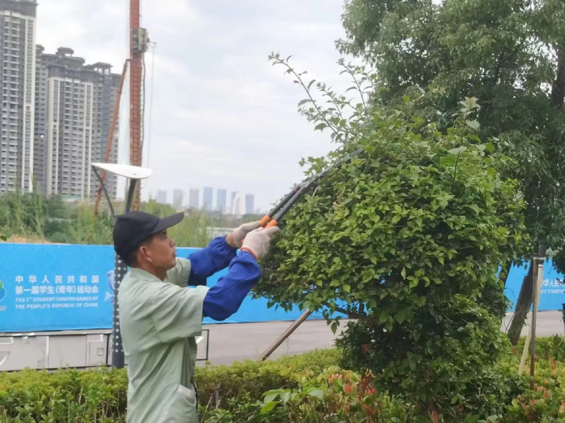 图片关键词