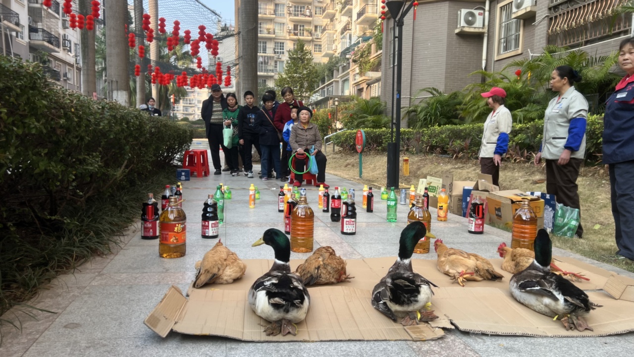 图片关键词