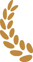 图片关键词 图片