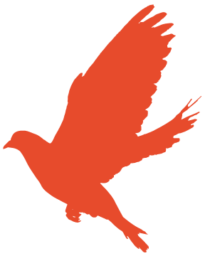 图片关键词 图片