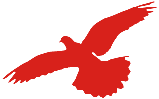 图片关键词 图片