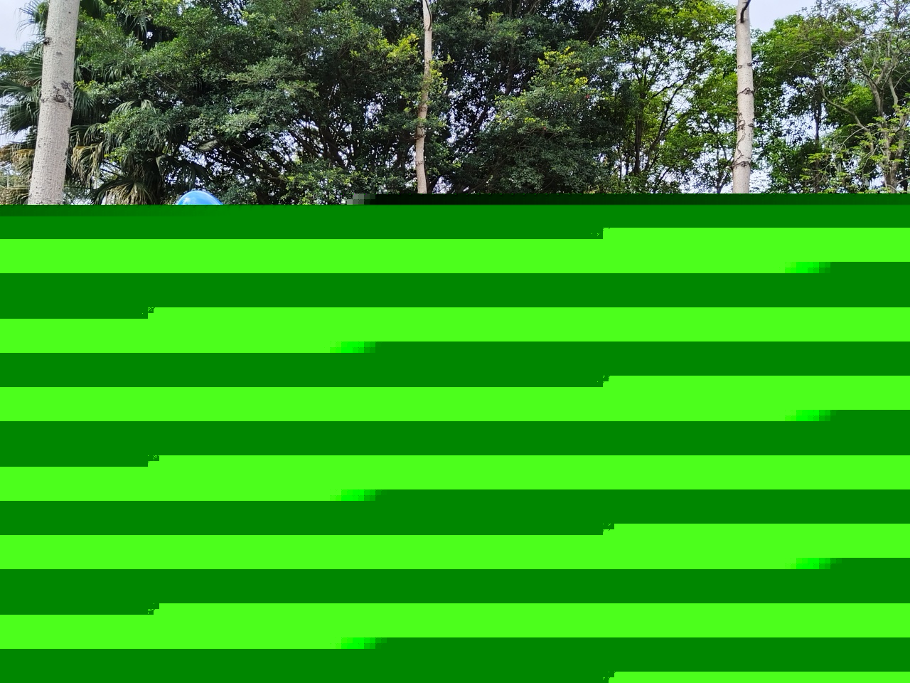 图片关键词 图片关键词