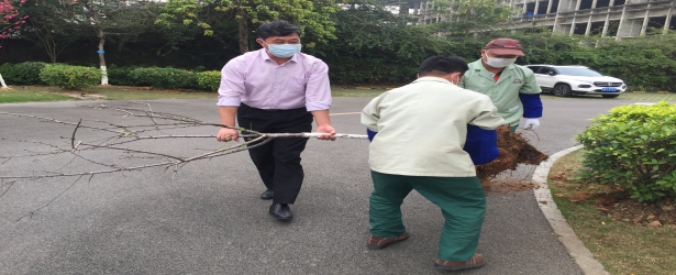 我们一起播种希望，收获美好