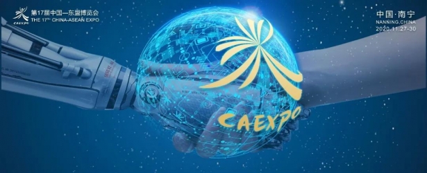 第17届东博会、峰会开幕之际 - 共建一带一路 共兴数字经济