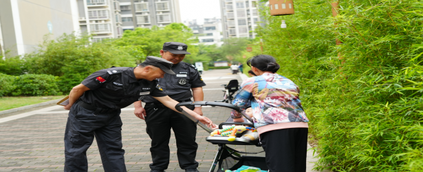 春日焕新，用心点缀美好家园
