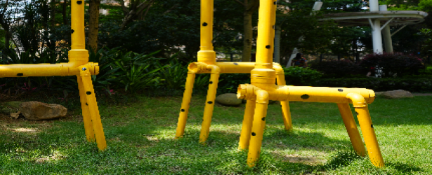 “颜”制美好，让家园“逆生长”