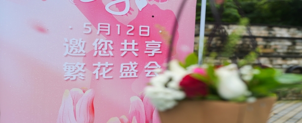 致爱母亲节，花语敬孝意！