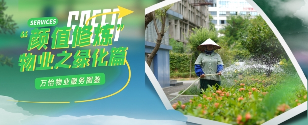 “植”此青绿，幸会生活的繁盛